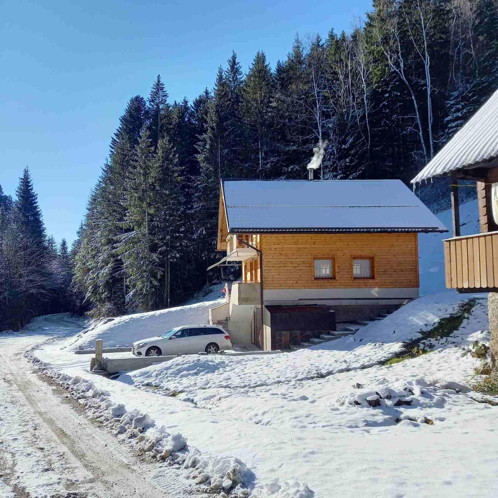 Hisa Lunna - Apartments In A Forest Paradise Vitanje Luaran gambar